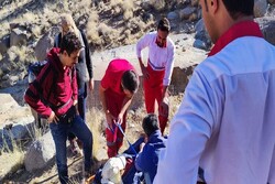 فرد مفقود شده در کوه ارنان نجات یافت
