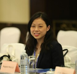 Zhang Yuan, Professor, The Middle East Studies Institute of Shanghai International Studies University, China