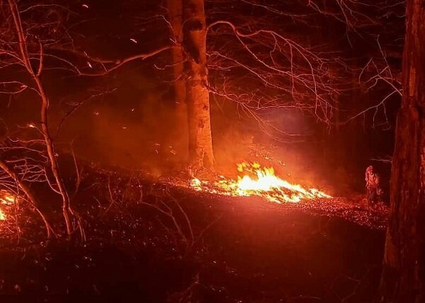 آتش سوزی در ۸ هکتار از اراضی صعب العبور املش