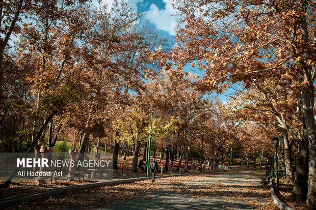 طهران تكتسي باللون الذهبي خلال أيام الخريف