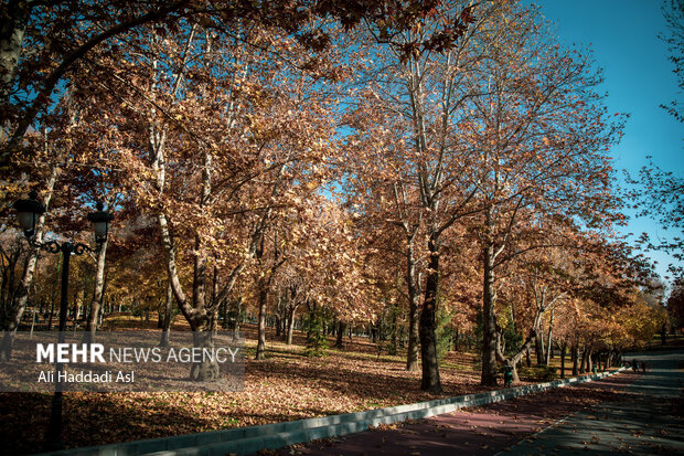 Picturesque autumn in Tehran
