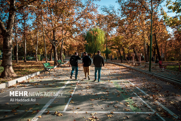 تہران میں موسم خزاں کی خوبصورتی
