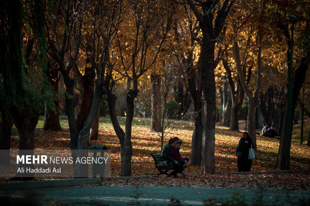 طهران تكتسي باللون الذهبي خلال أيام الخريف