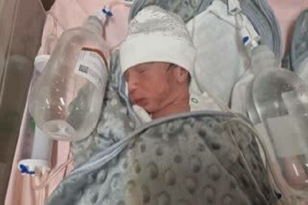 تولد ۵ قلوها در زرند/ پدرخانواده شغل پایدار ندارد