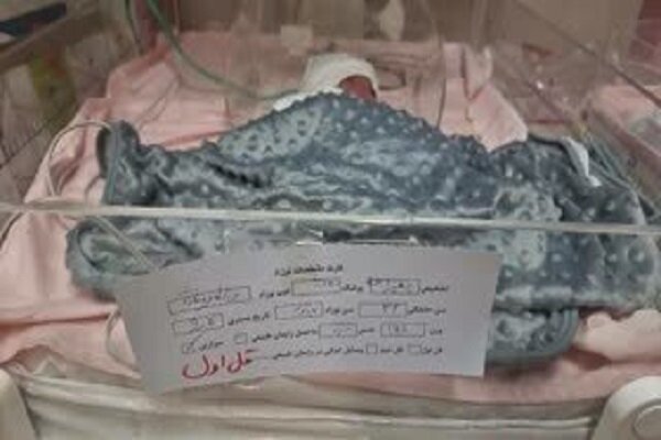 تولد ۵ قلوها در زرند/ پدرخانواده شغل پایدار ندارد