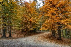 Breathtaking scenery of autumn in Mazandaran