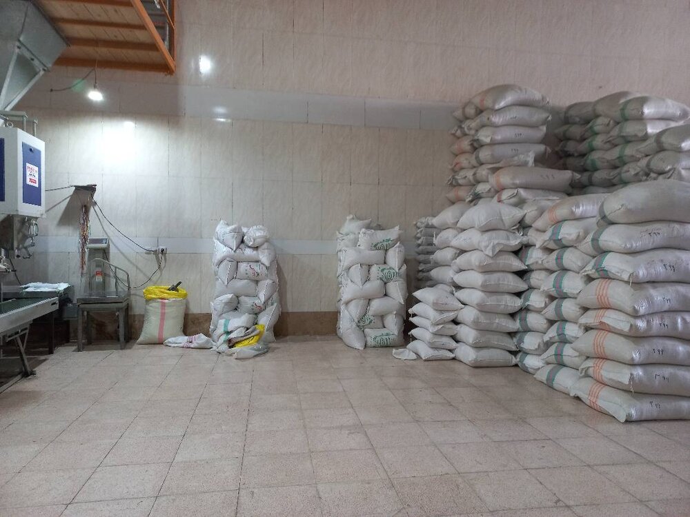 آغاز صادرات برنج ایرانی