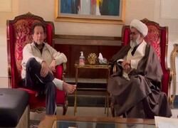 سربراہ ایم ڈبلیو ایم پاکستان علامہ راجہ ناصر عباس کی قیادت میں وفد کی عمران خان سے ملاقات