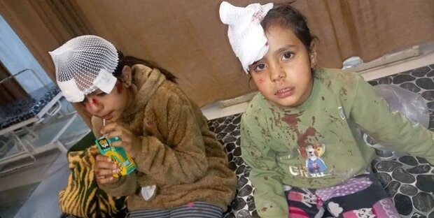 جولان سگهادر معابر/ بررسی حمله سگها به کودکان شهرک افضلی پور