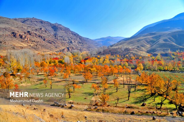 Astonishing autumn scenery in W Iran
