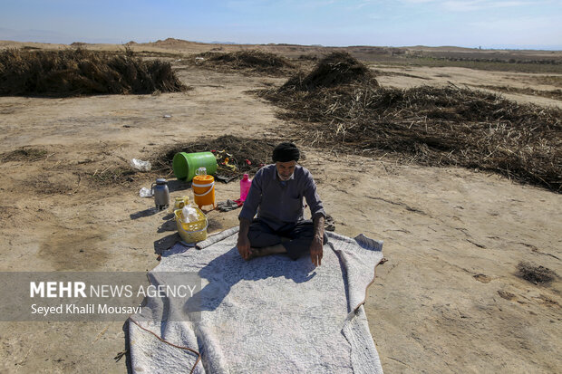 تیِنیِدن به گویش لری به معنای تکاندن بوده که آخرین مرحله سنتی برداشت کنجد میباشد.