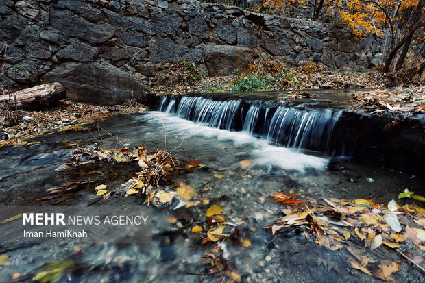 Glamorous autumn in Hamedan province
