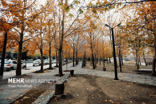 طبیعت پاییزی گنجنامه همدان