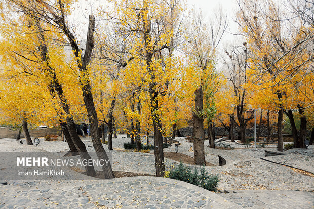 Glamorous autumn in Hamedan province
