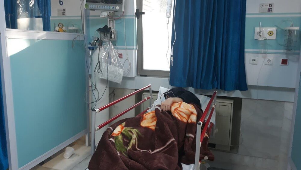 مصرف قارچ سمی ۱۱ نفر را در مشگین‌شهر راهی بیمارستان کرد