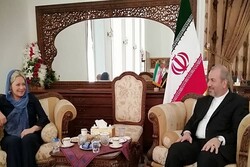 Iran-Iraq cooperation brought stability to region: UN Envoy