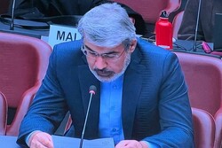 Iran spared no effort in offering services to Afghan refugees