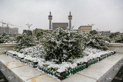 First autumn snow whitens Imam Reza holy shrine in Mashhad