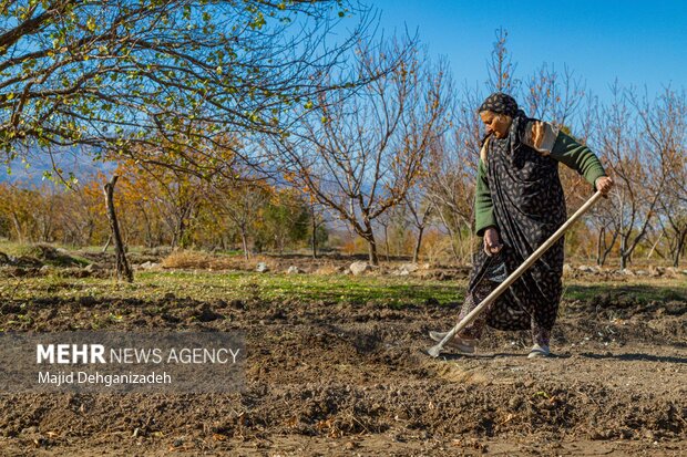 تخفیف ۵۰ درصدی آب بها برای رعایت کنندگان الگوی کشت