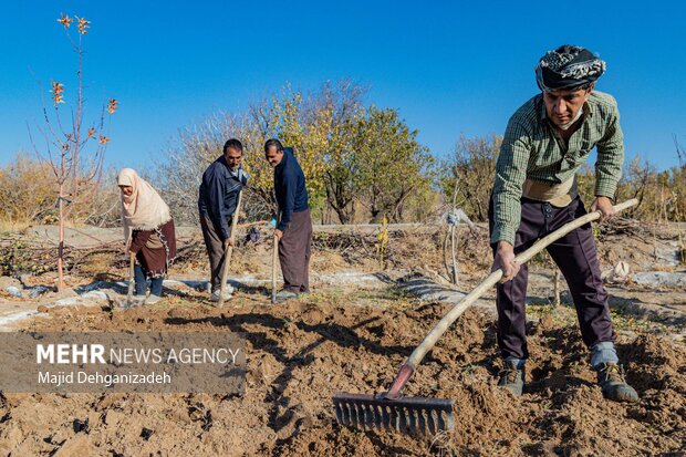 12بهمن؛ پاسخگویی رئیس سازمان جهاد کشاورزی استان تهران به کشاورزان