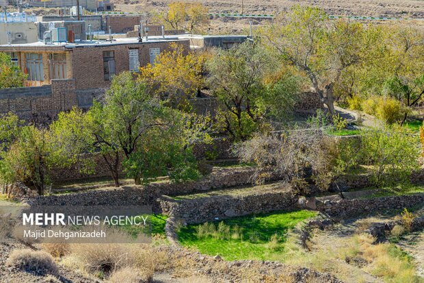 ممنوعیت مصرف فرآورده های غیر مجاز هورمون ها