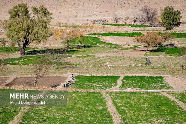 تسریع در همکاری وزارت جهادکشاورزی و سازمان فضایی ایران