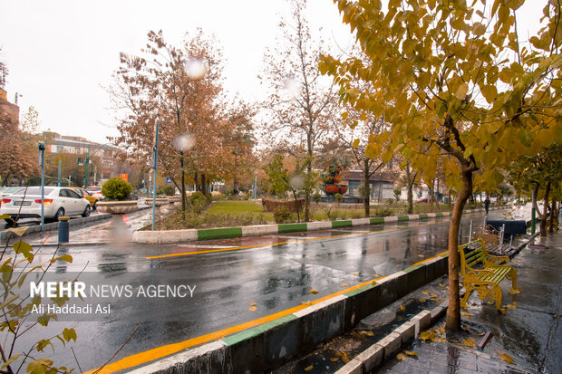 هطول الامطار الخريفية في العاصمة الايرانية طهران
