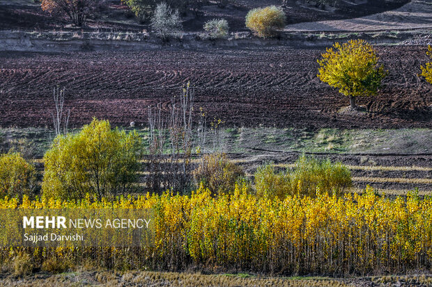 طبیعت زیبای پاییزی لرستان