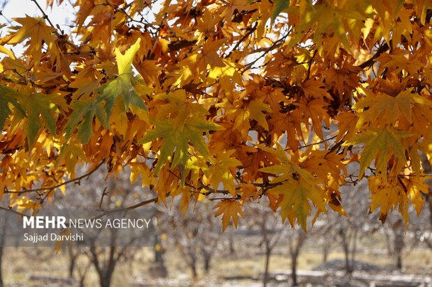 Beautiful Lorestan nature in autumn

