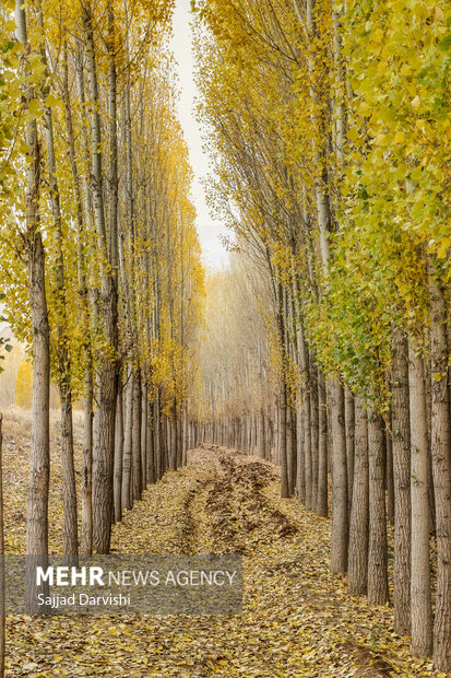 Beautiful Lorestan nature in autumn
