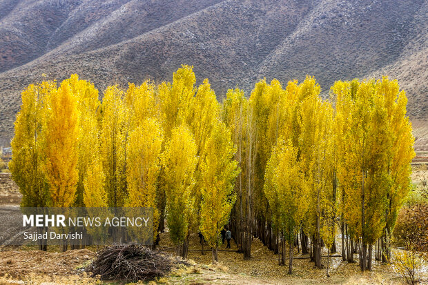 طبیعت زیبای پاییزی لرستان