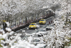 آماده باش شهرداری شهرکرد به دلیل بارش برف / شهروندان احتیاط کنند