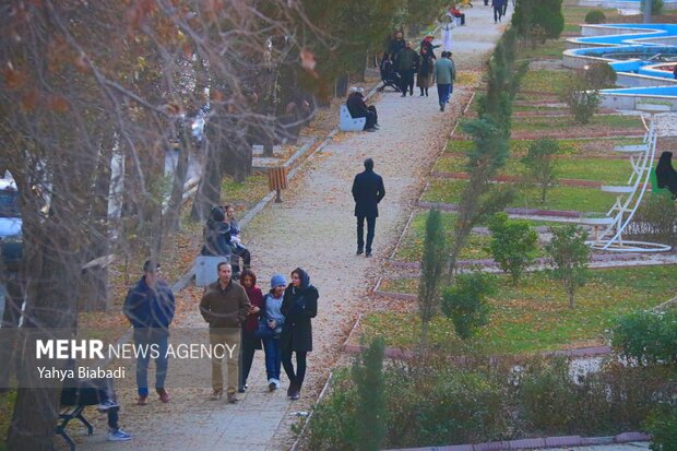 Autumn leaves in Kermanshah province
