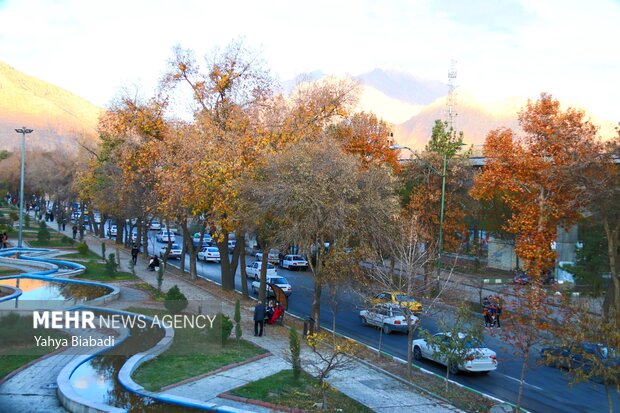 Autumn leaves in Kermanshah province
