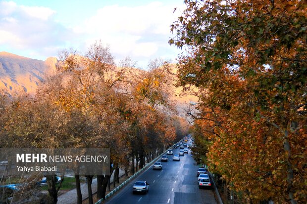 Autumn leaves in Kermanshah province
