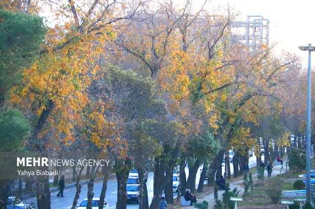 Autumn leaves in Kermanshah province
