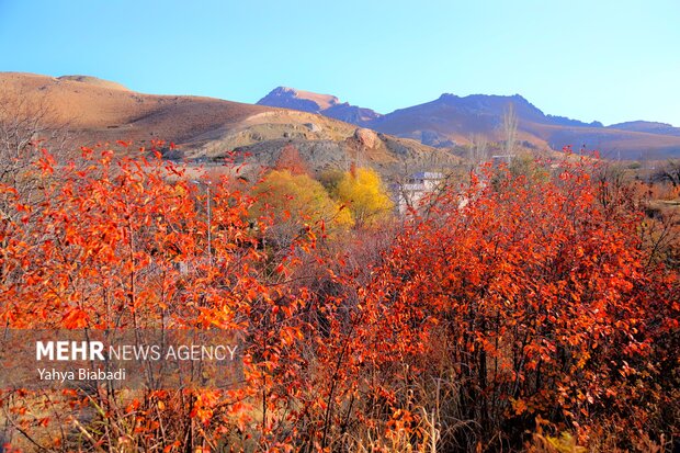 Autumn leaves in Kermanshah province
