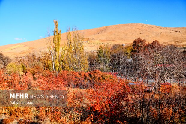 Autumn leaves in Kermanshah province
