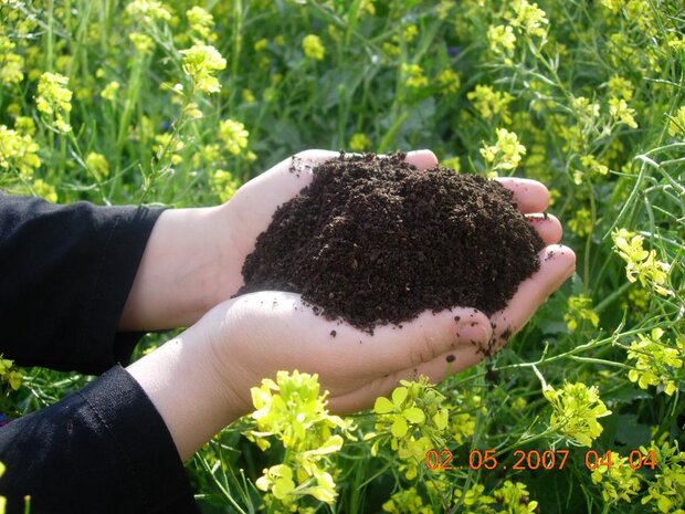 به همت این زن، هیچ زبالهای در کرمانشاه دفن نمیشود!