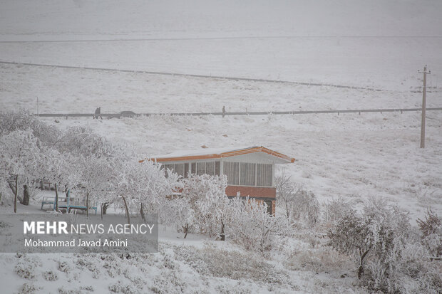 بارش برف قزوین