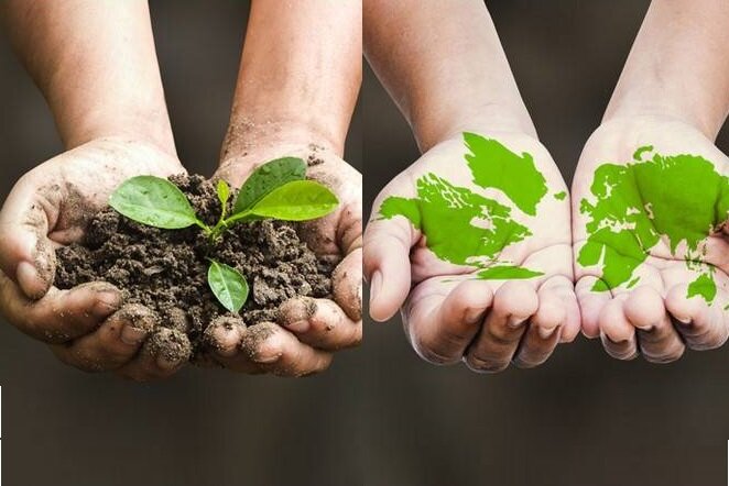 همایش بین المللی روز جهانی خاک در بندر سیراف برگزار شد