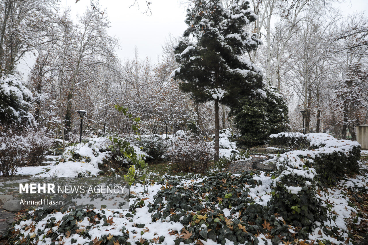 پیش‌بینی بارش‌ برف پاییزی در تهران از نیمه دوم آبان