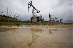 روسیه برای فروش نفت خود کف قیمت تعیین می کند