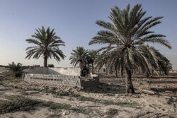دوره تغییرات اقلیمی و خشکسالی در خوزستان برگزار شد
