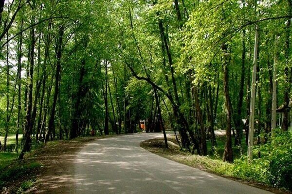 مدیریت پارکهای جنگلی استان بوشهر به بخش خصوصی واگذار میشود مدیریت پارکهای جنگلی استان بوشهر به بخش خصوصی واگذار میشود
