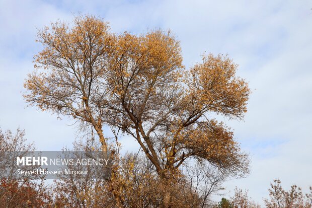 ورود سامانه بارشی به خراسان رضوی/دمای هوا ۱۰ درجه کاهش مییابد ورود سامانه بارشی به خراسان رضوی/دمای هوا ۱۰ درجه کاهش مییابد