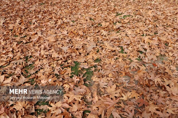 طبیعت زیبای پائیزی مشهد