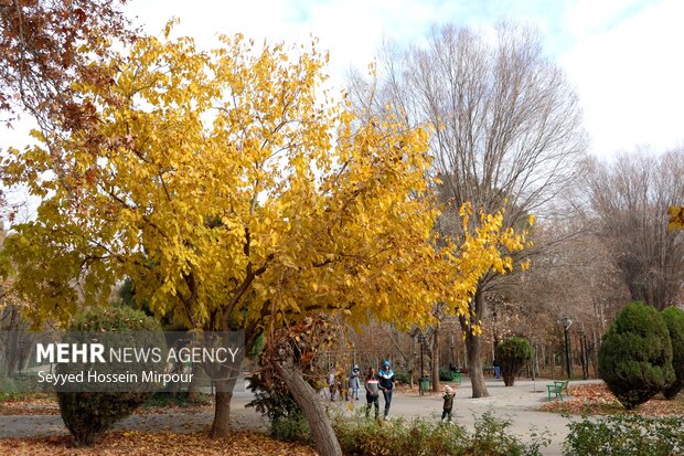 طبیعت زیبای پائیزی مشهد