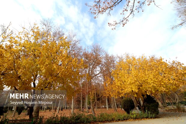 هوای مشهد قابل قبول است هوای مشهد قابل قبول است