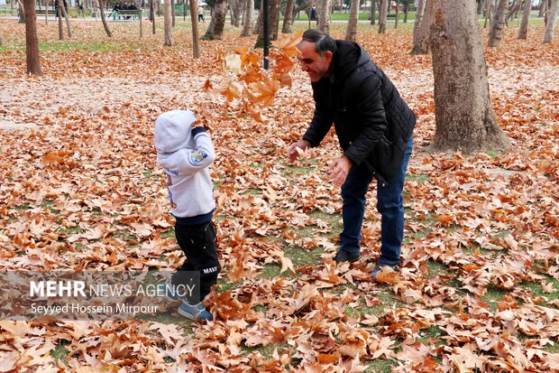 طبیعت زیبای پائیزی مشهد